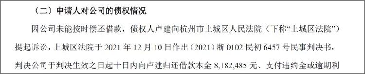 昔日跨境电商一哥 为何还不起800万元？  第3张